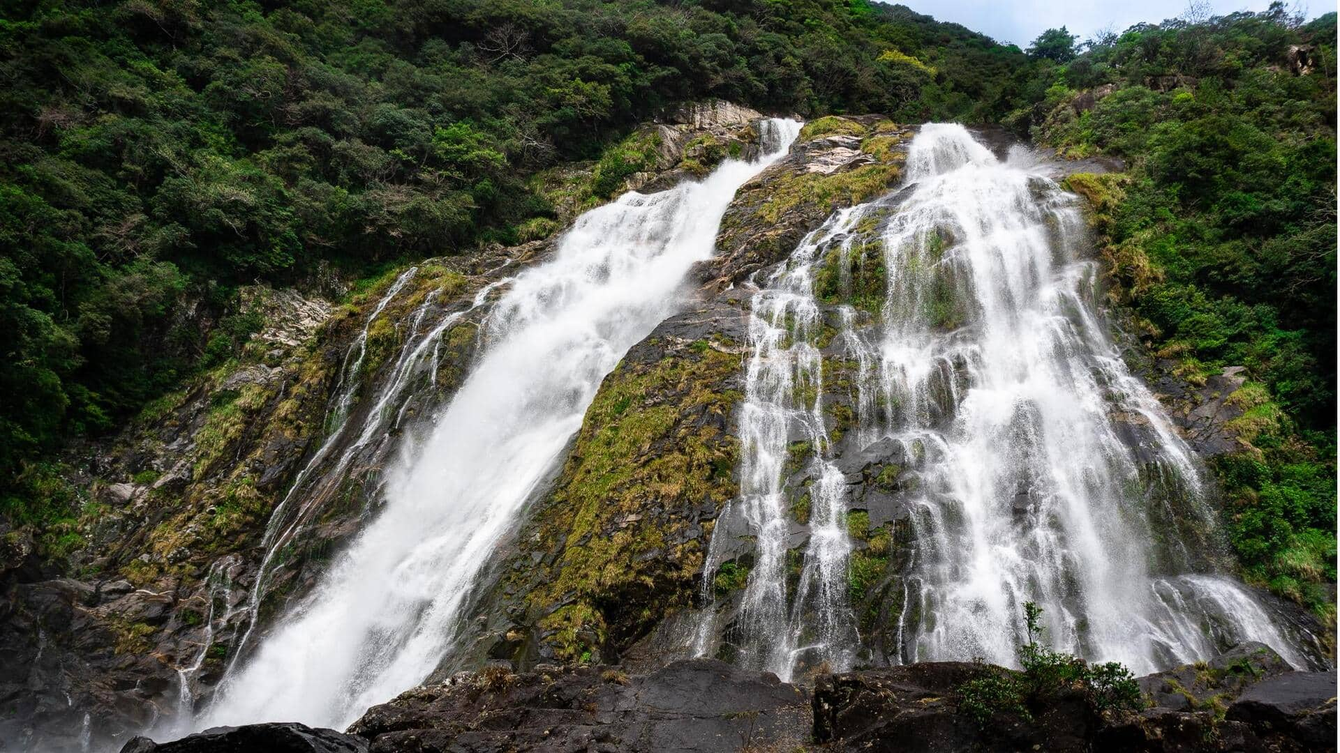 Menjelajahi Keindahan Pulau Yakushima, Jepang