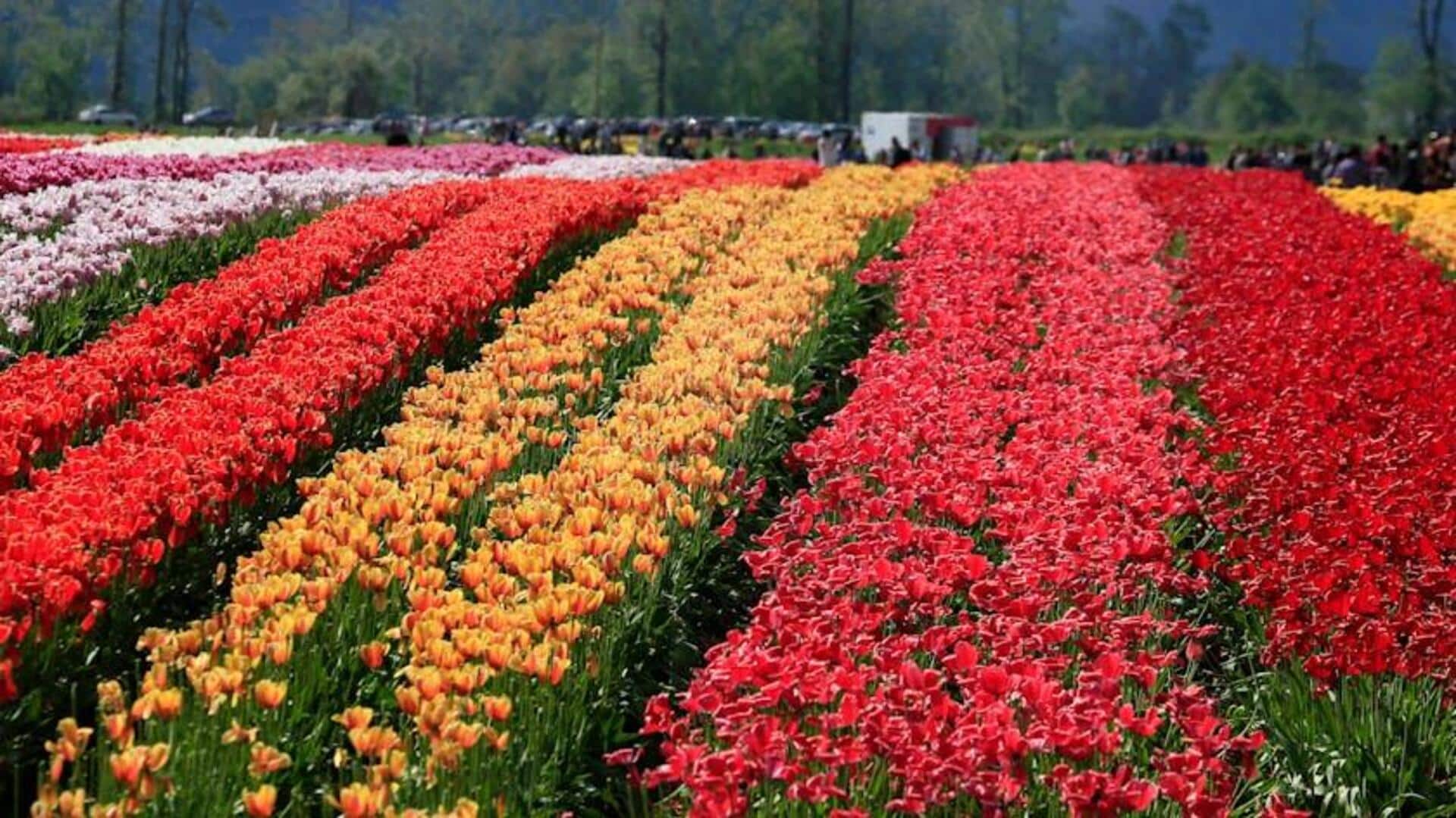 Kebun Raya Menakjubkan di Belanda yang Wajib Dikunjungi