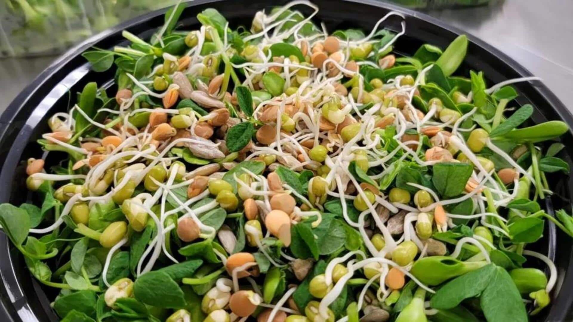Cara Inovatif dalam Menikmati Kecambah dalam Salad