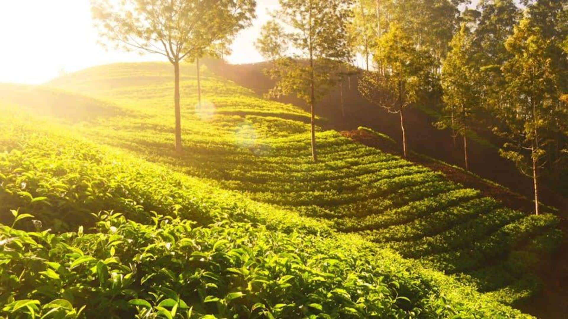 5 Stasiun Bukit yang Indah di India Selatan