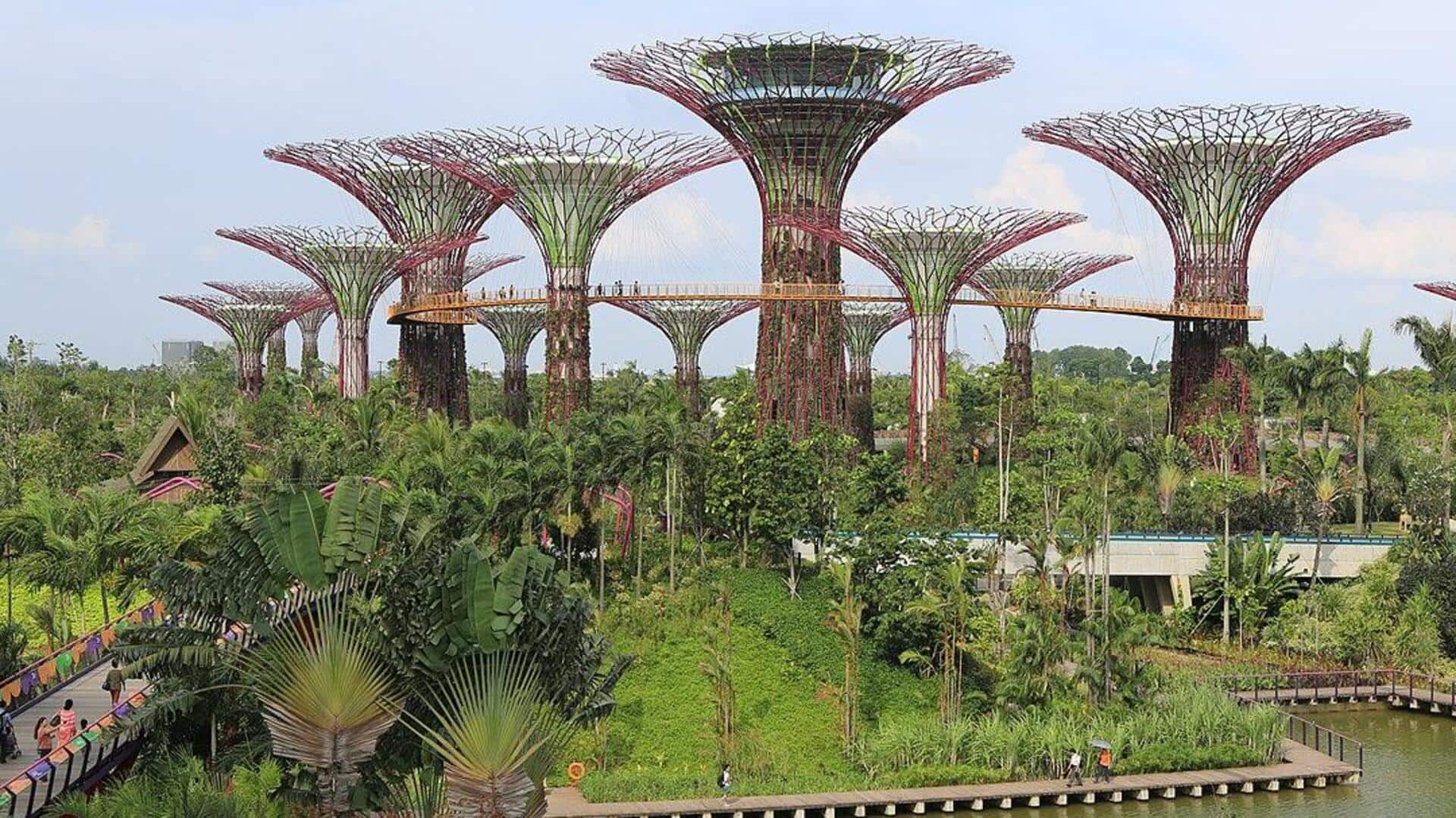 Menemukan Kebun Atap Tersembunyi di Singapura