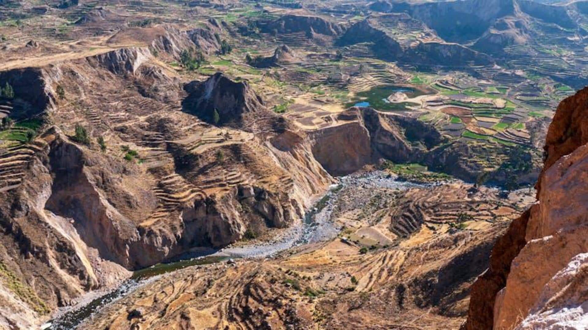 Keajaiban Tersembunyi di Lanskap Colca Canyon, Peru