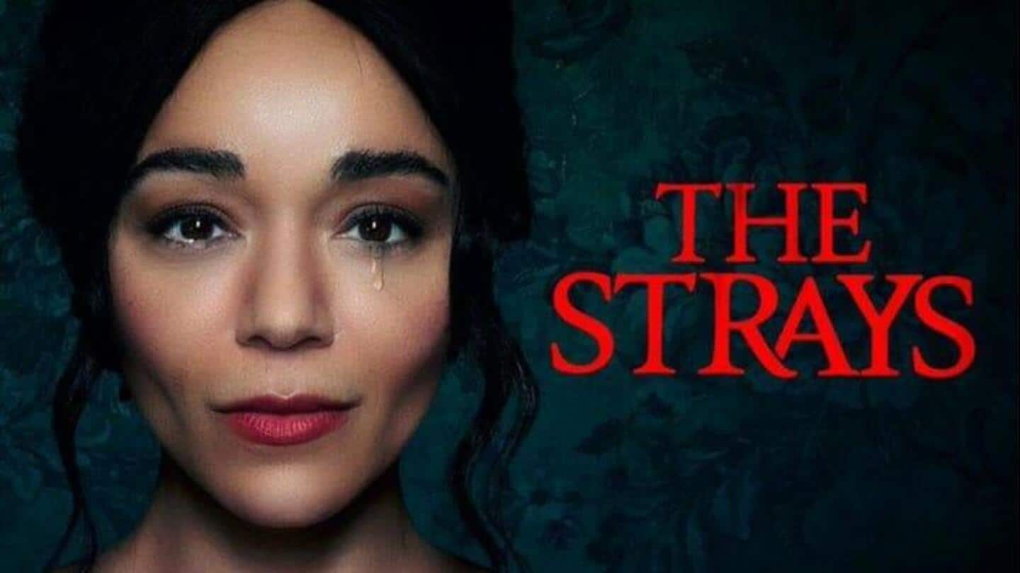 Lanjutkan Streaming atau lewati: Film thriller sosial Ashley Madekwe 'The Strays' di Netflix