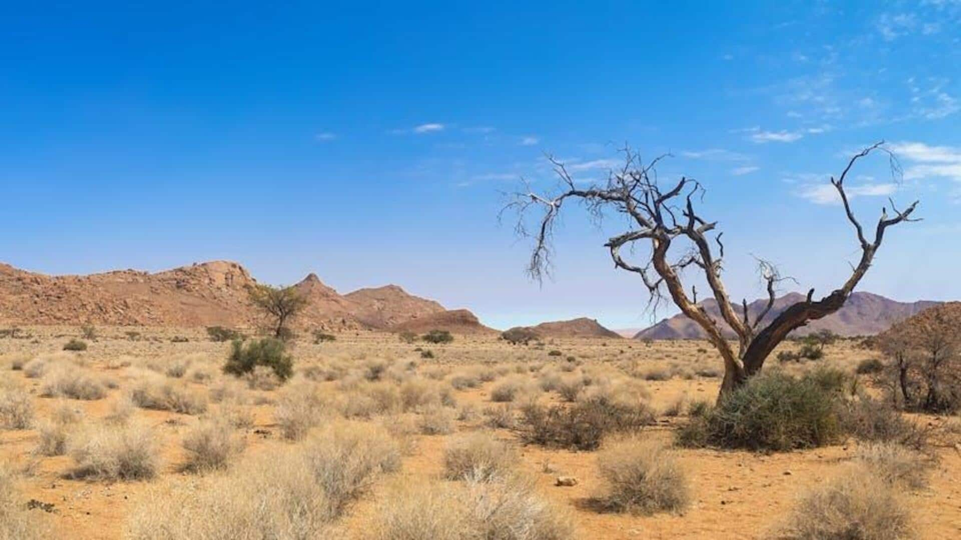 Menjelajahi Keindahan Gurun NamibRand, Namibia