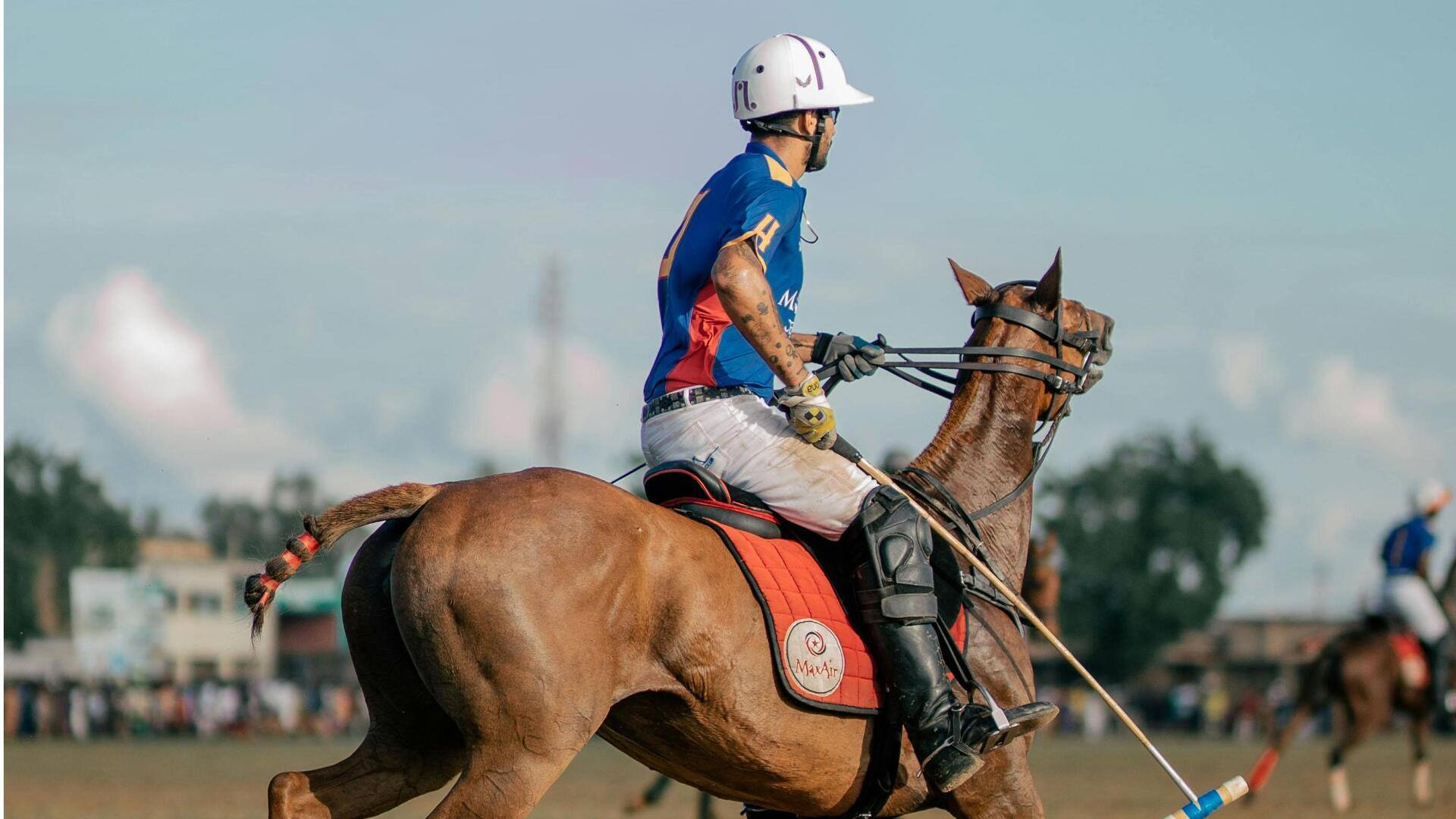 Mengapa ekor kuda polo diikat? Mengapa ekor kuda polo diikat?