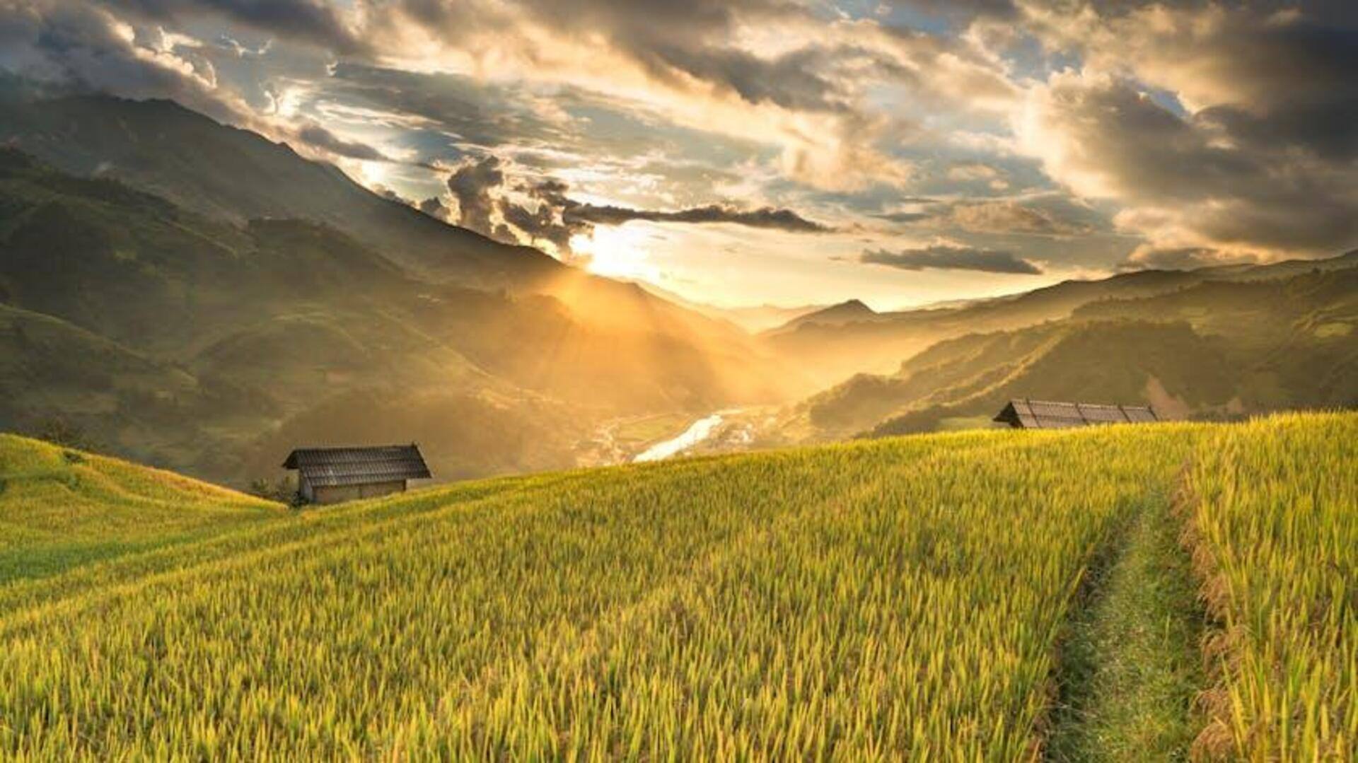 Manfaat Tak Terduga dari Satelit Galileo untuk Pertanian