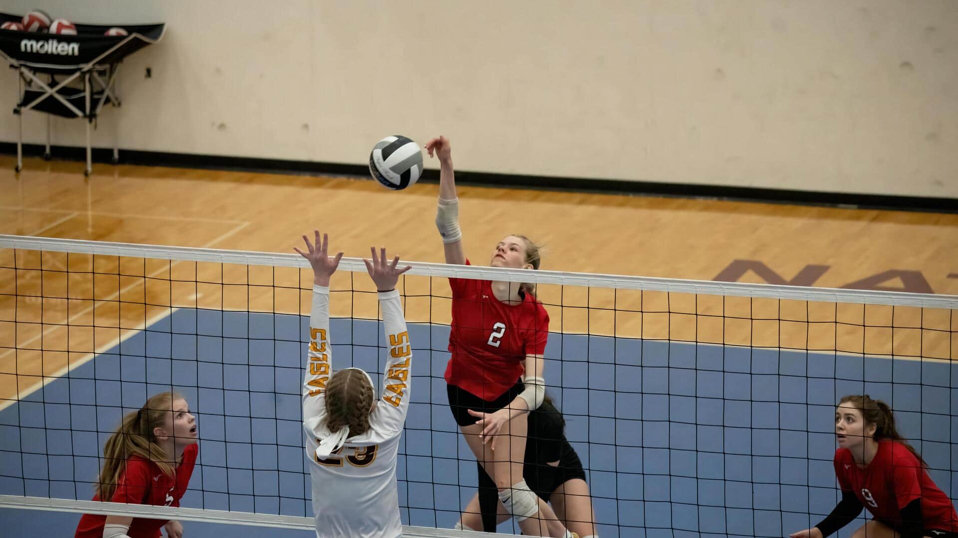 Mengapa lapangan voli memiliki warna lantai yang kontras?