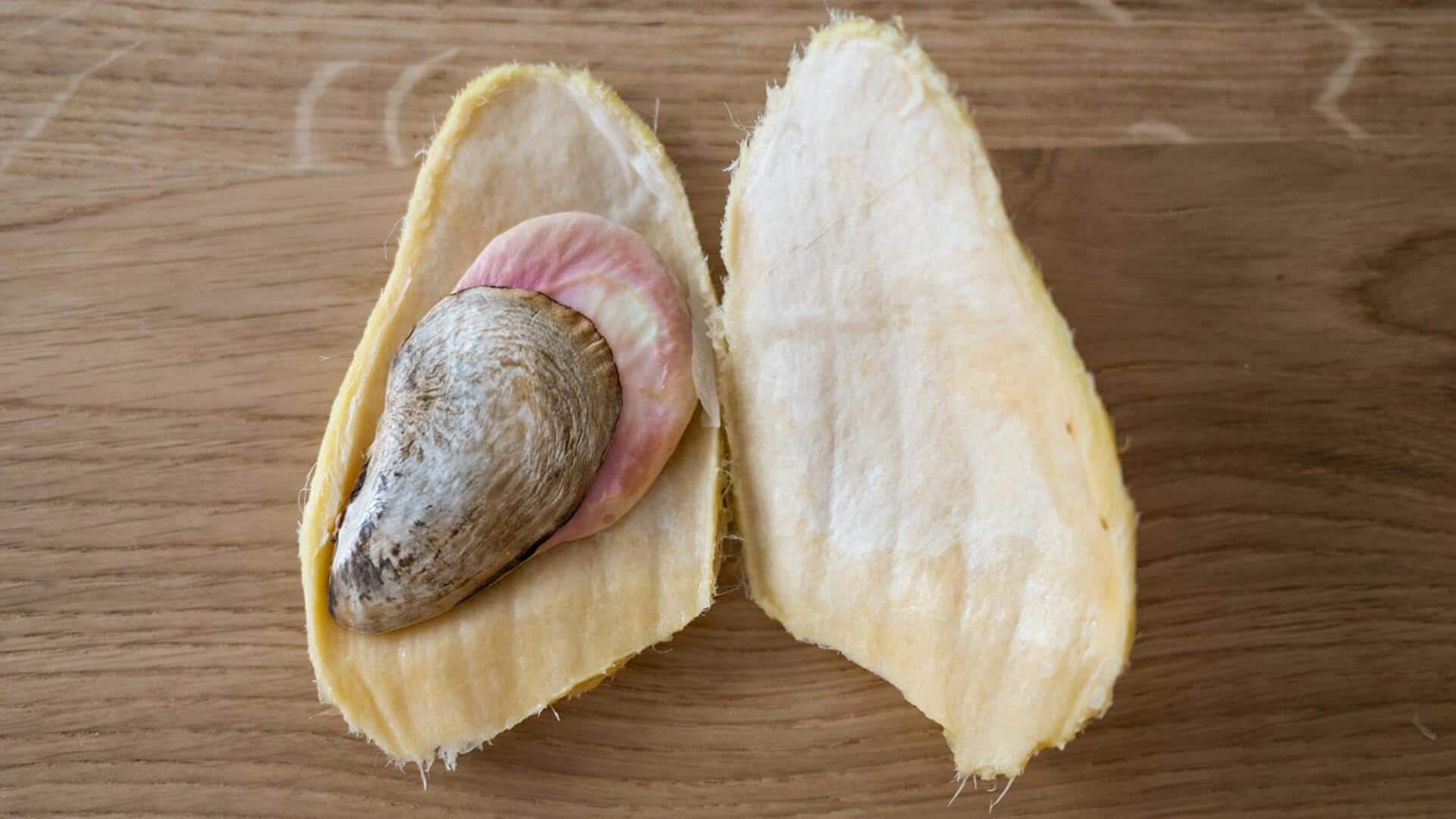 Manfaat Biji Mangga dalam Hidangan Vegetarian India