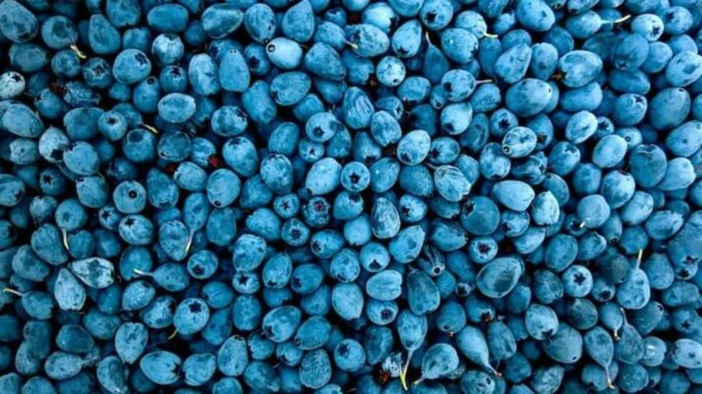 Bulan Blueberry Nasional: Masker Wajah Rumahan Menggunakan Buah Ini