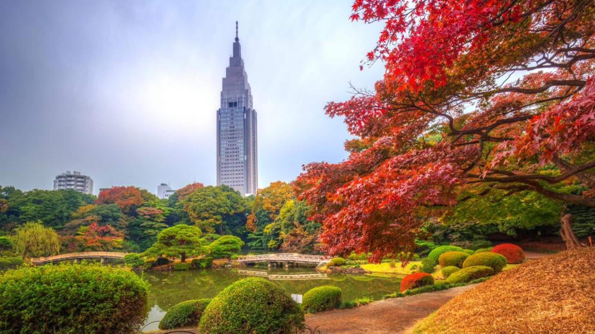 Daun musim gugur dan festival tradisional Tokyo