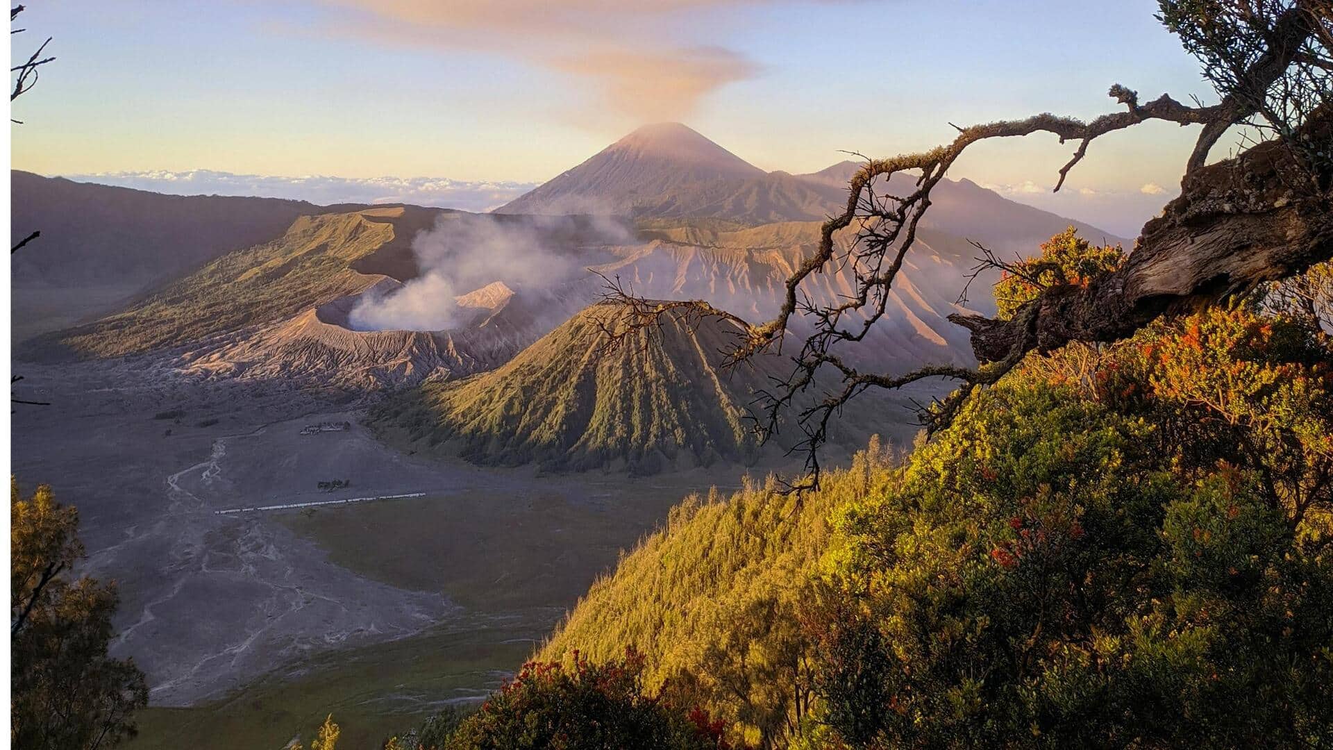 Hutan Hujan Indonesia: Pengalaman Treking yang Tak Boleh Dilewatkan Hutan Hujan Indonesia: Pengalaman Treking yang Tak Boleh Dilewatkan