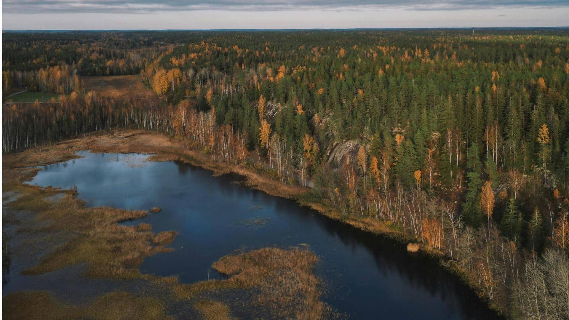 Lima Taman Hutan Tenang di Dekat Helsinki, Finlandia