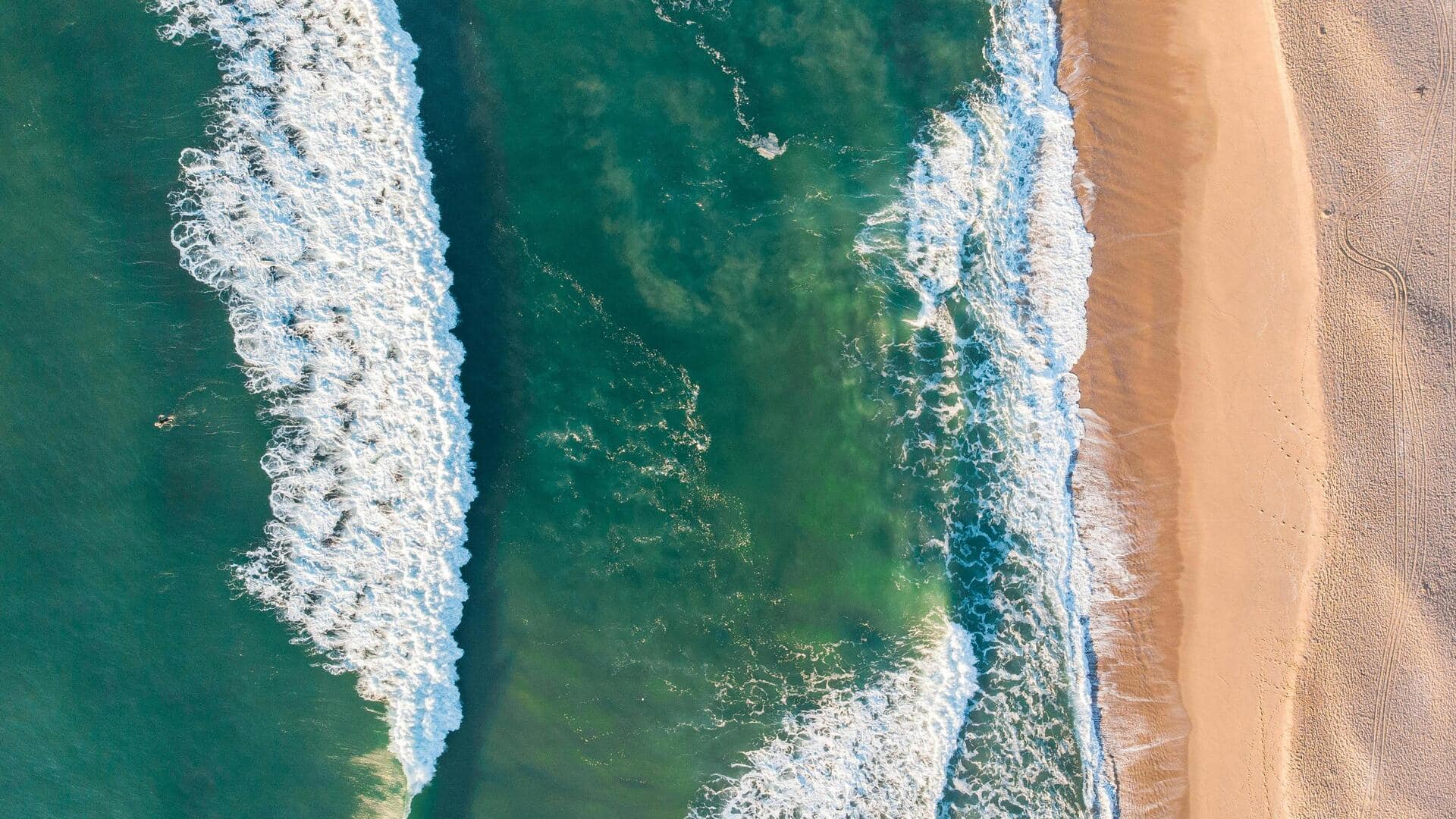 Menjelajahi Keindahan Pulau Marajo, Brasil