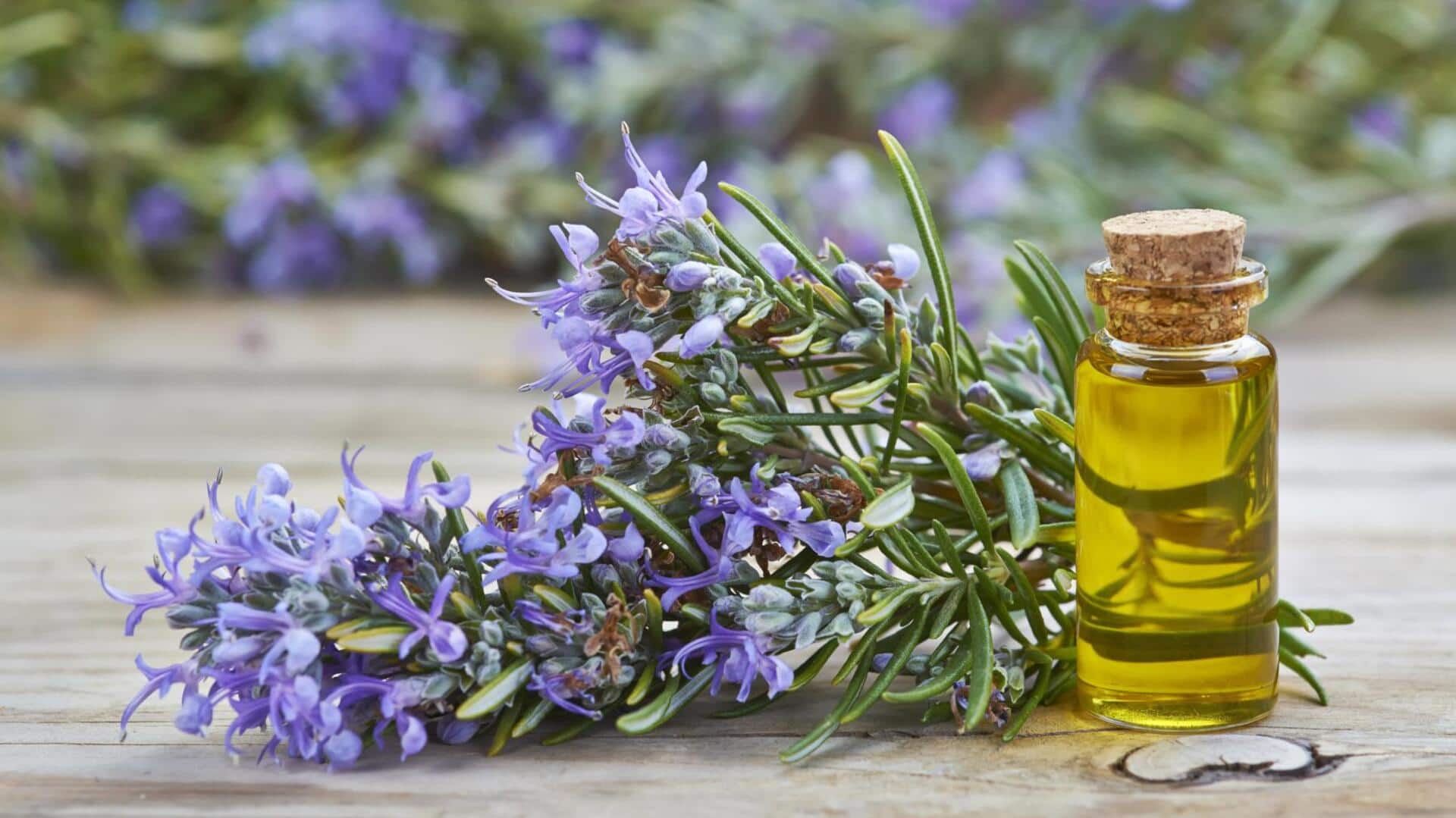 Lima Penggunaan Kreatif Minyak Rosemary untuk Kebutuhan Sehari-hari Lima Penggunaan Kreatif Minyak Rosemary untuk Kebutuhan Sehari-hari
