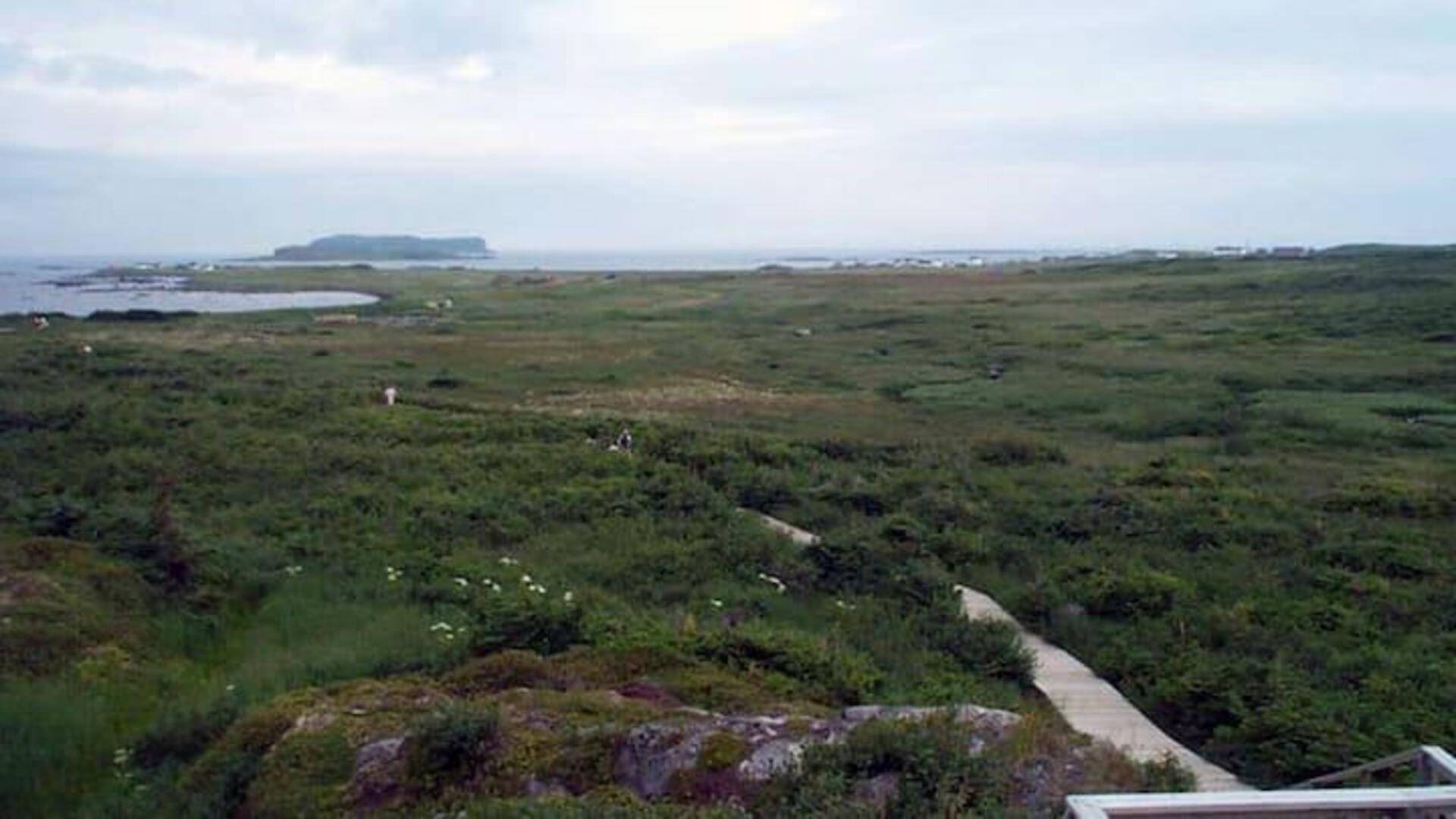 Jelajahi Viking Trail Yang Bersejarah Di Newfoundland, Kanada