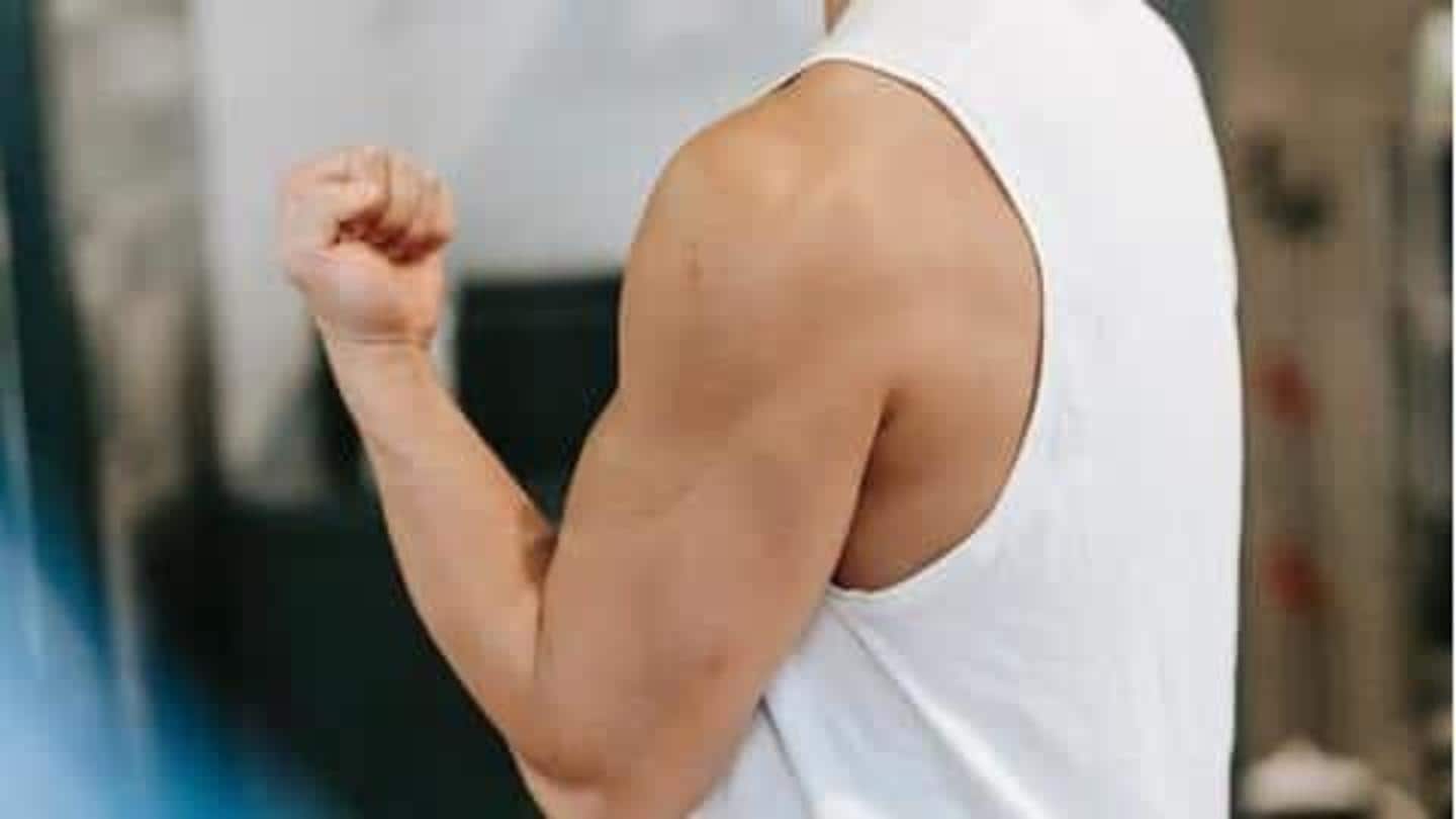 5 latihan yang menguatkan otot lengan