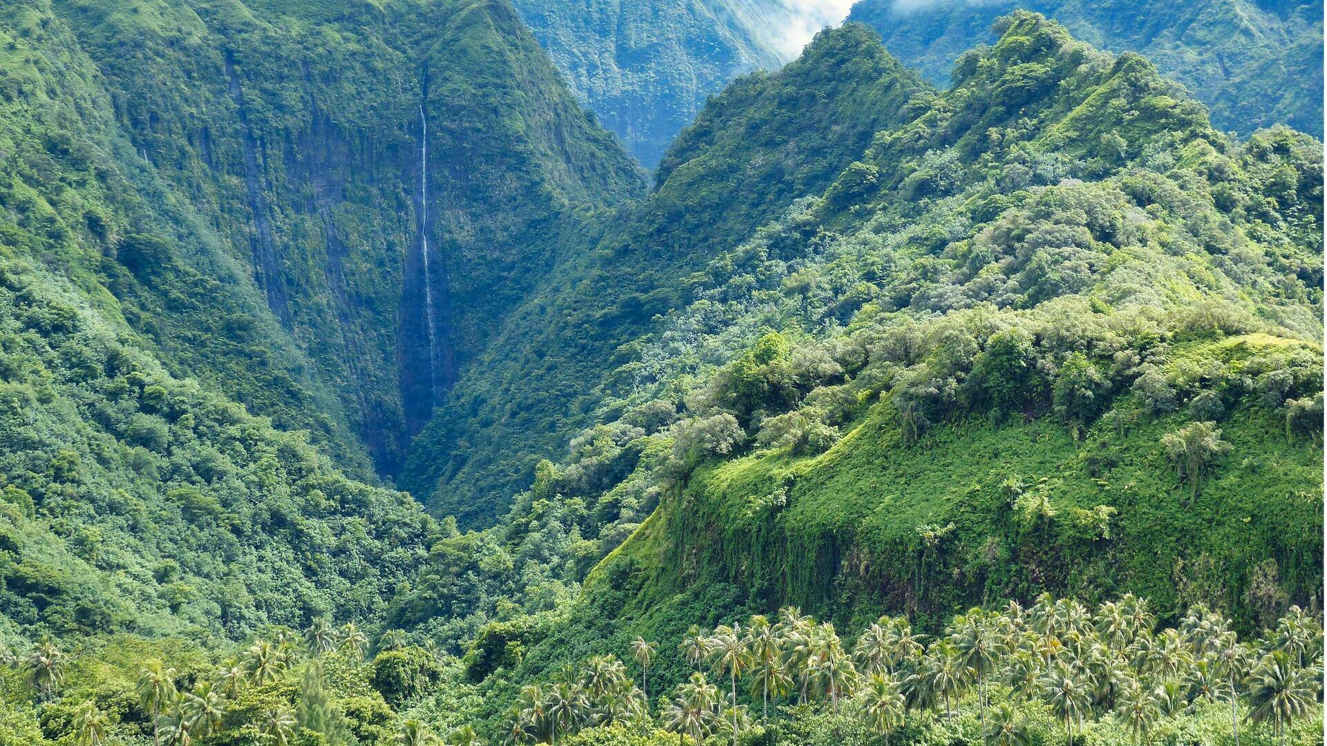 Air Terjun Tersembunyi di Tahiti, Polinesia Prancis
