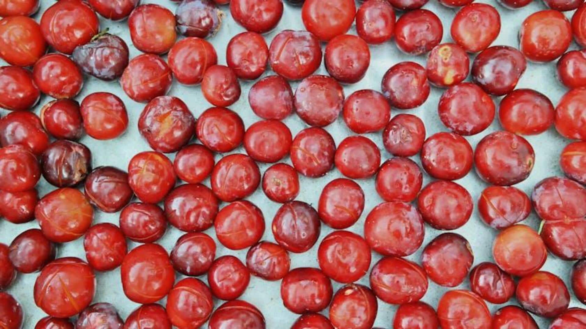 Rahasia Menumbuhkan Biji Plum dengan Optimal