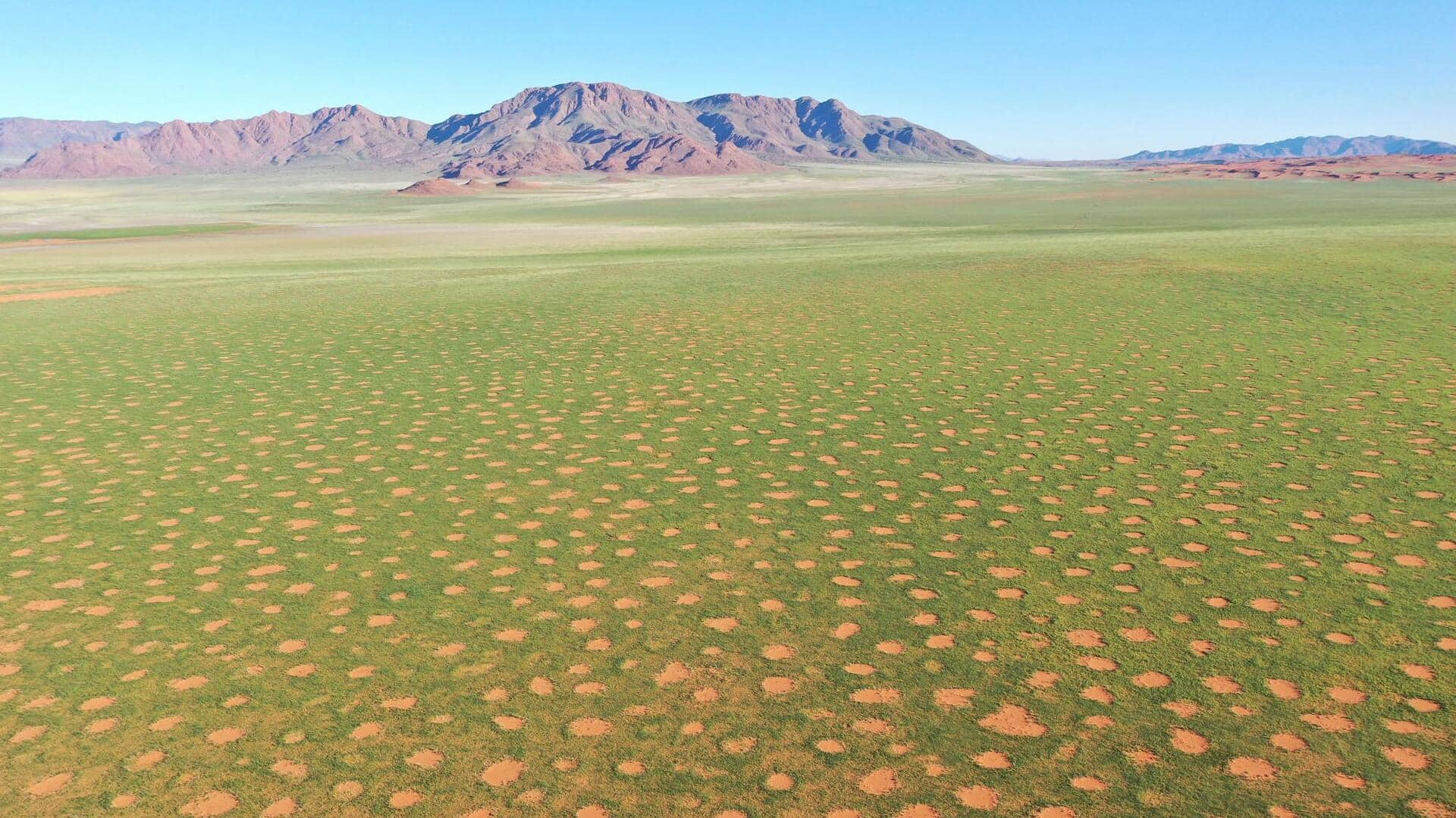 Menjelajahi Lingkaran Peri Gurun Namibia