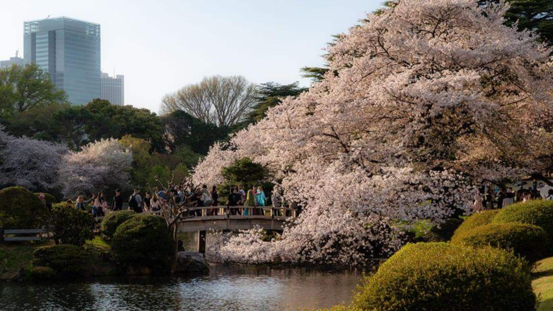 Menemukan Kedamaian di Taman Zen Tokyo