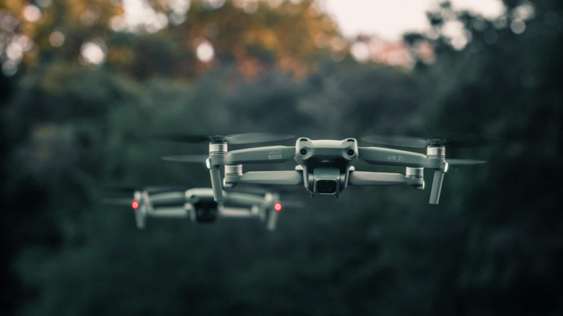 Lima Cara Menarik Drone Membantu Konservasi Satwa Liar