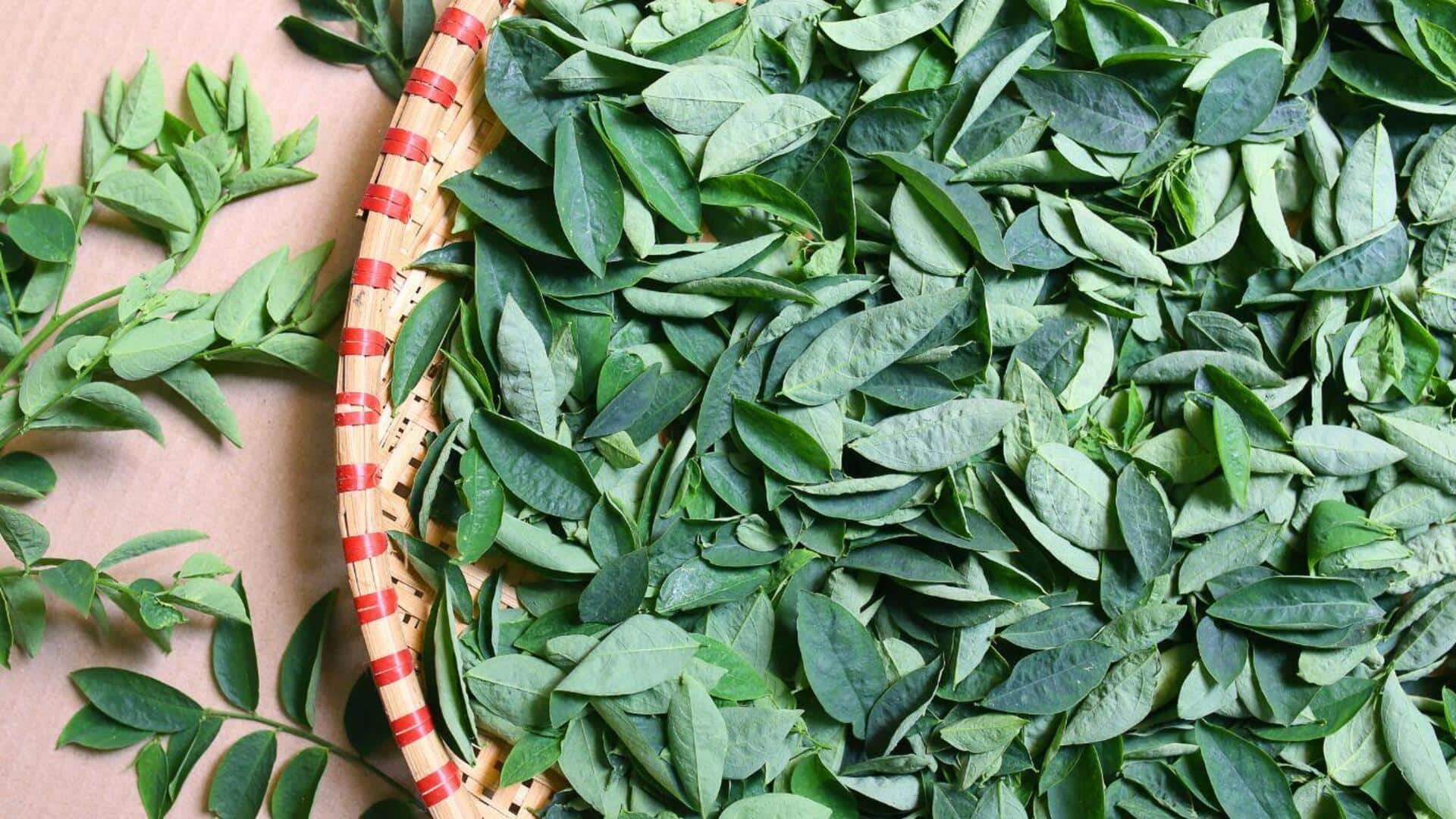 Lima Resep Inovatif Berbasis Daun Katuk dari Dapur Indonesia