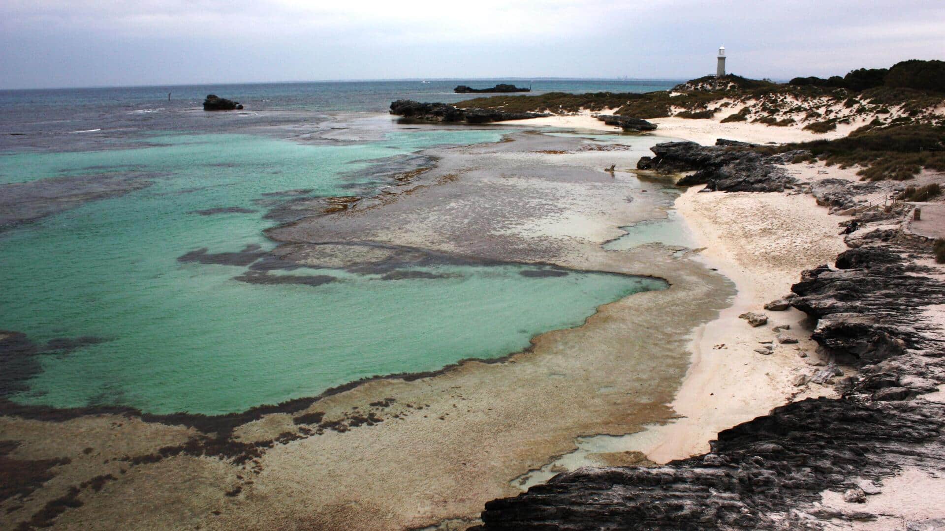 Menjelajahi Suaka Margasatwa Unik di Australia Barat