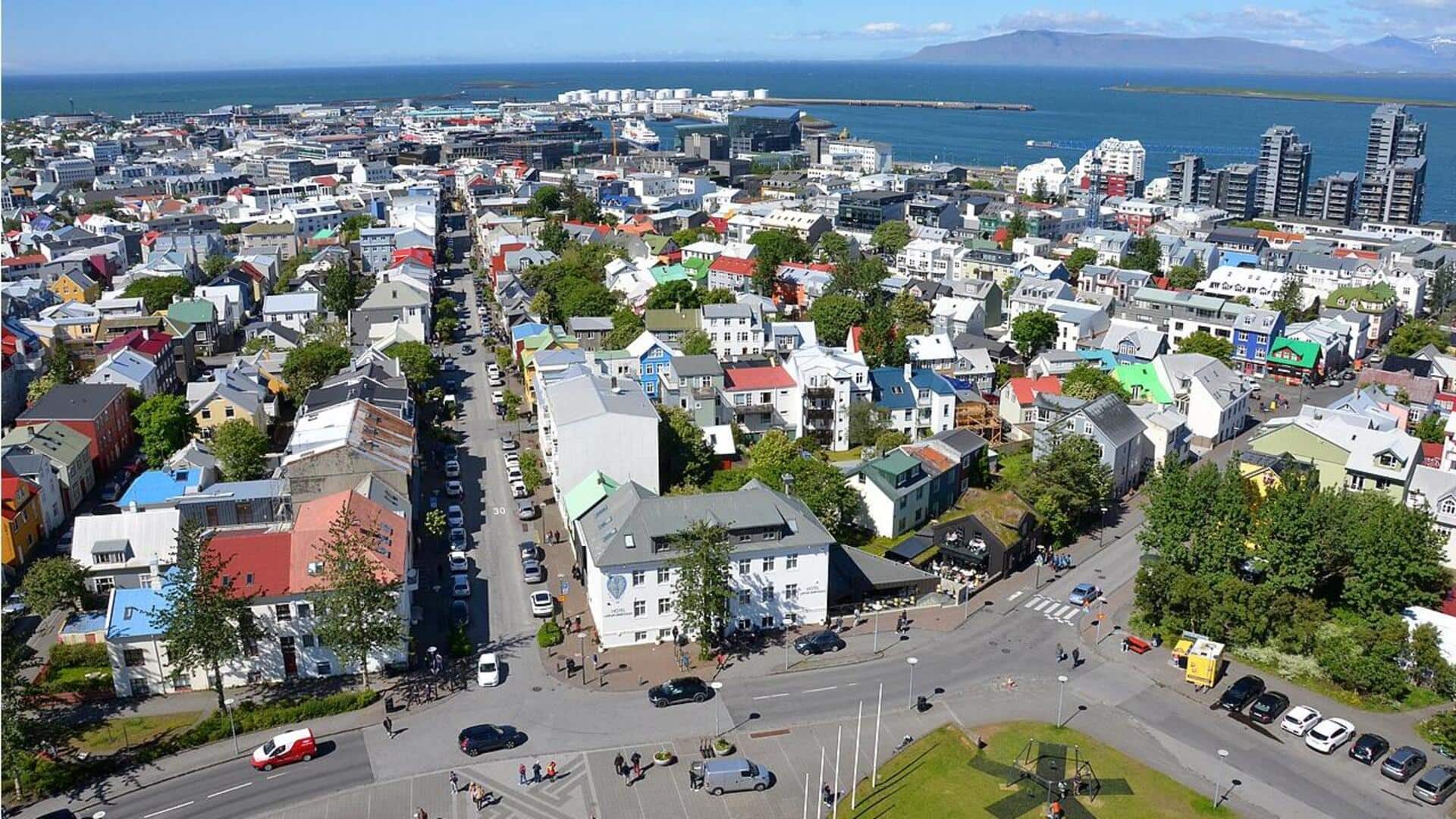 5 Butik Unik di Reykjavik yang Wajib Dikunjungi