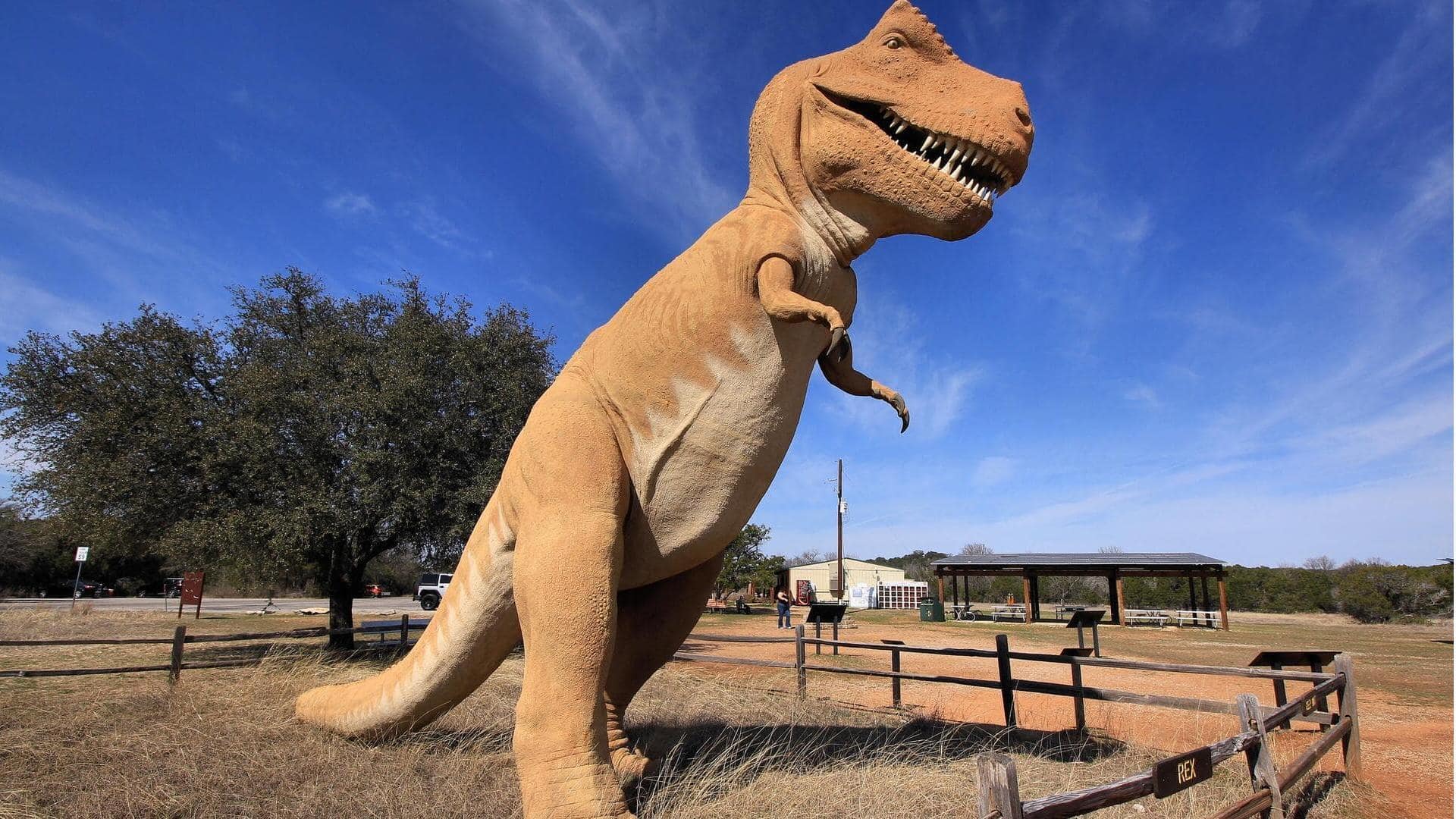 Kembali ke masa lalu di Dinosaur Valley State Park, Texas