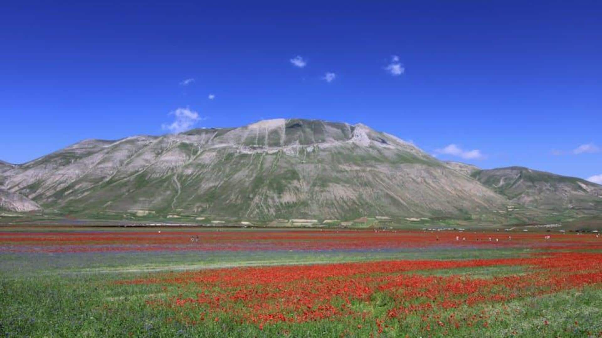 Keindahan Fioritura di Castelluccio, Italia