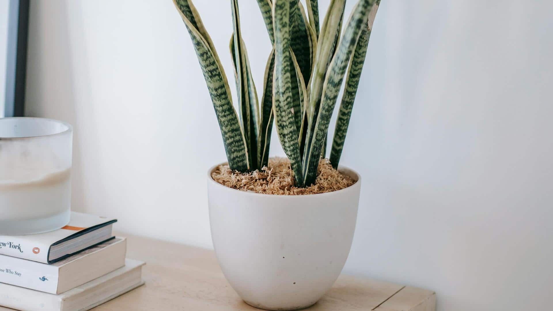 Tip efisien mendinginkan rumah dengan barang rumah tangga