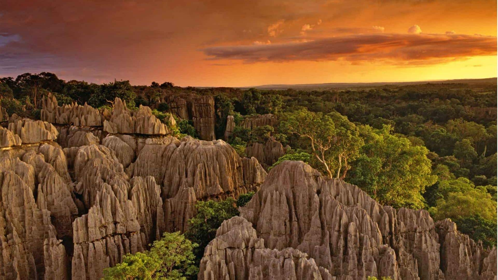 Menjelajahi Keajaiban Alam Madagaskar