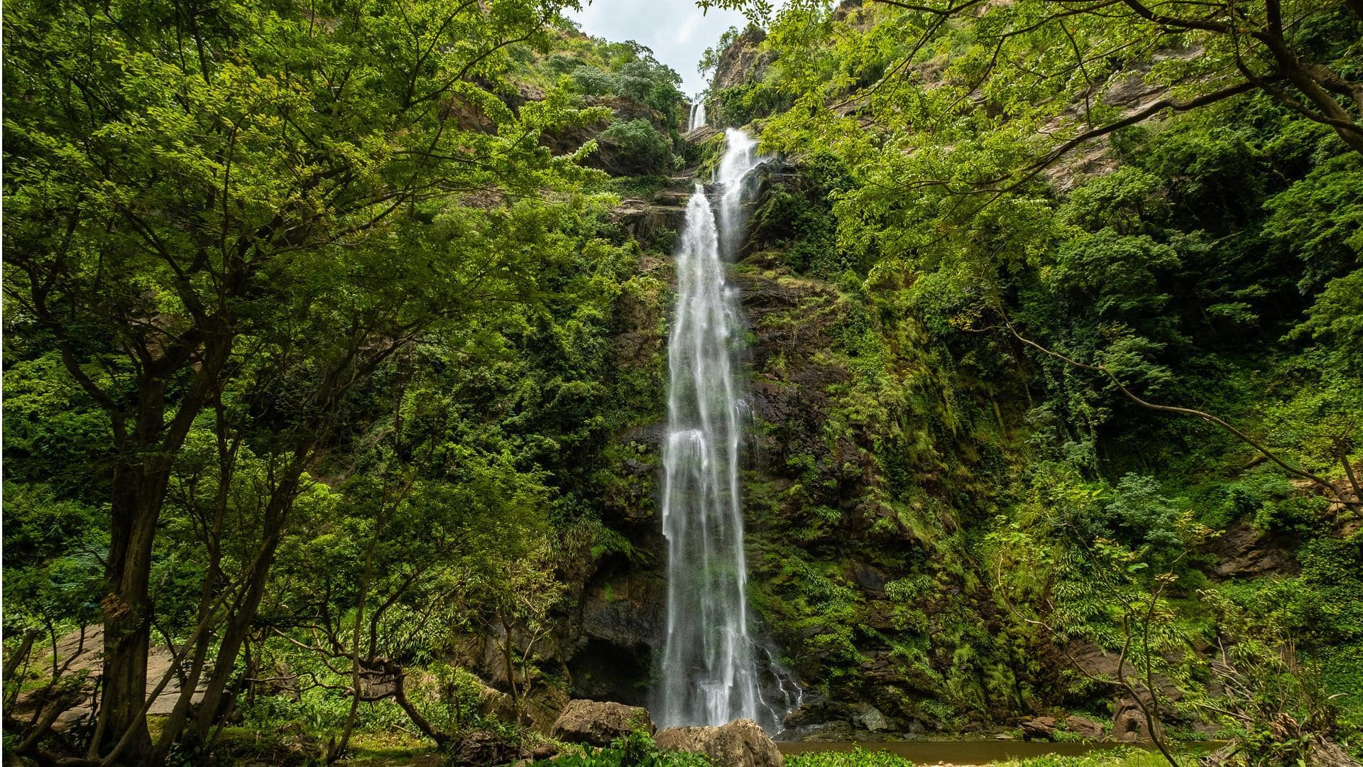 Lima Hutan Keramat Yang Tersembunyi Di Ghana