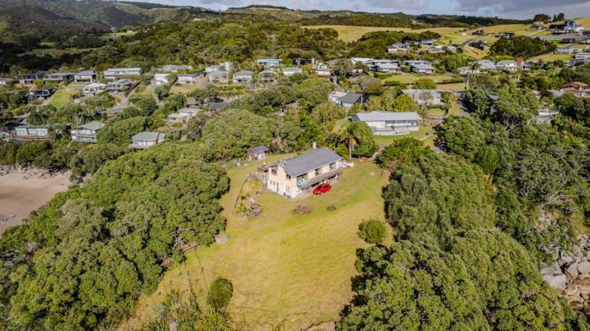 Menjelajahi Budaya Kiwi di Kota Kecil Tersembunyi Selandia Baru