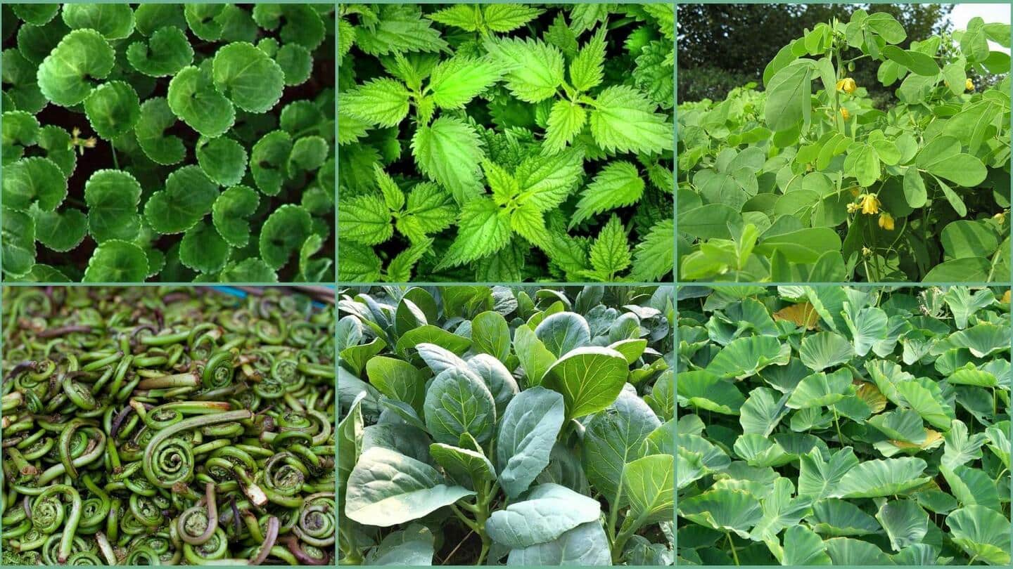 Anda harus mencoba sayuran hijau asli India yang kurang populer ini