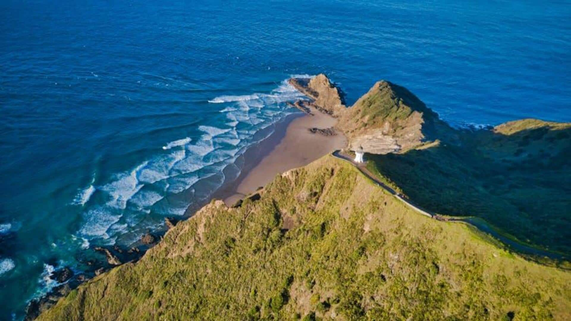 Menjelajahi Keajaiban Tane Mahuta, Selandia Baru