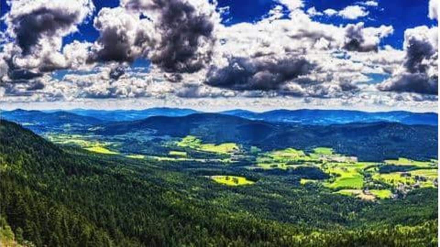 5 taman nasional terbaik yang patut disambangi di Jerman
