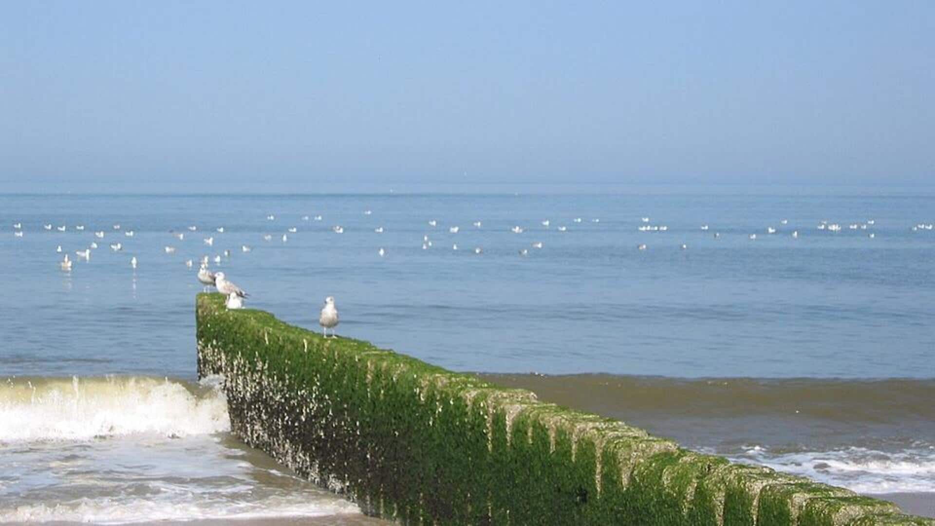 Pantai-pantai Sylt yang Belum Terjamah: Lima Surga di Laut Utara