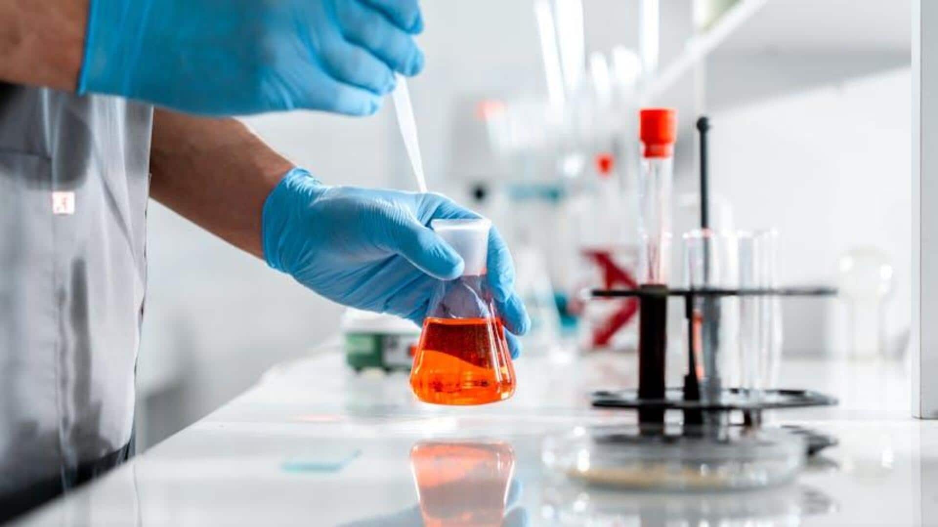 Inovasi Tak Terduga dari Kaca dalam Peralatan Laboratorium Modern