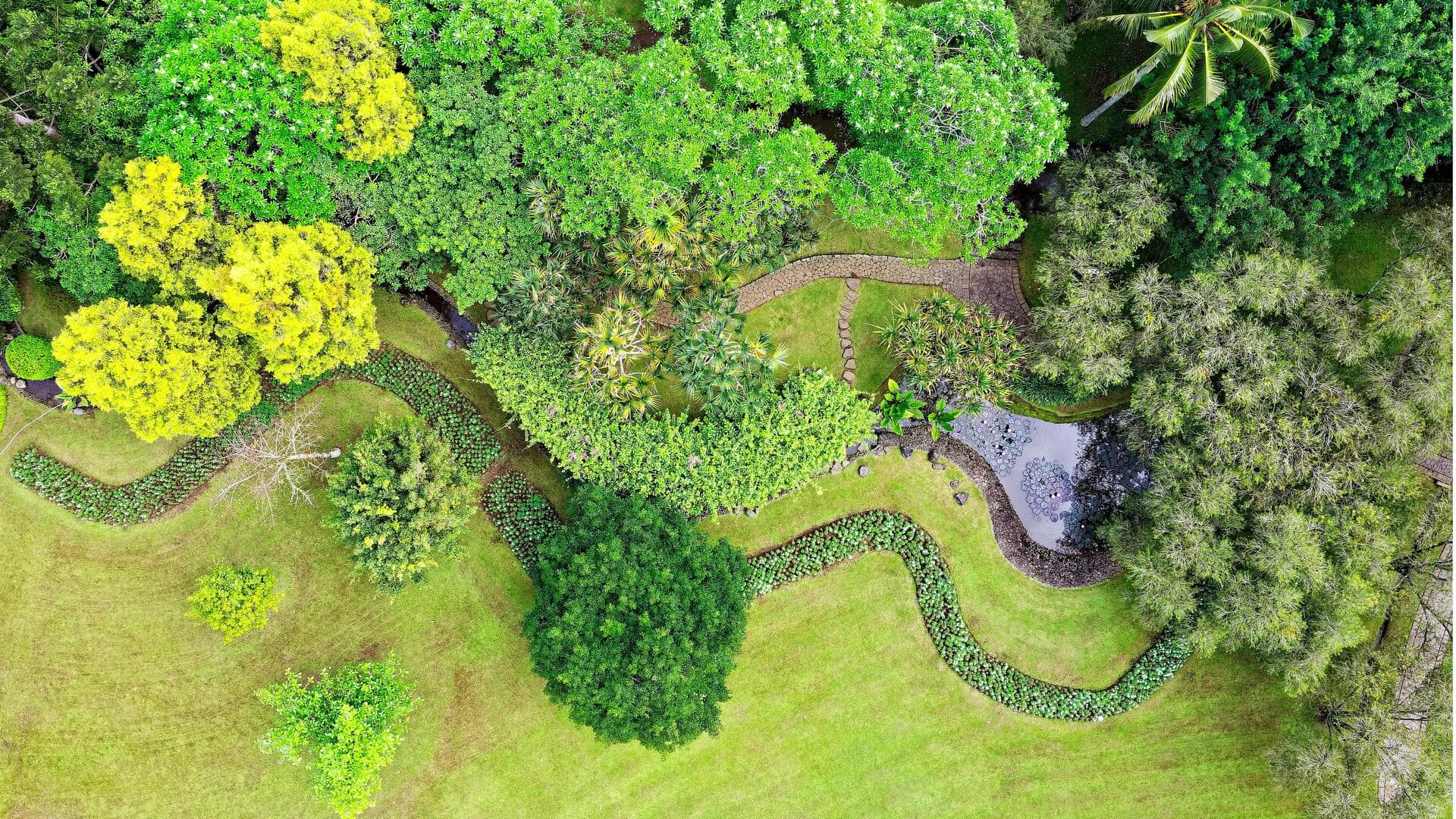 Teknologi Unik Memperindah Ruang Hijau di Indonesia