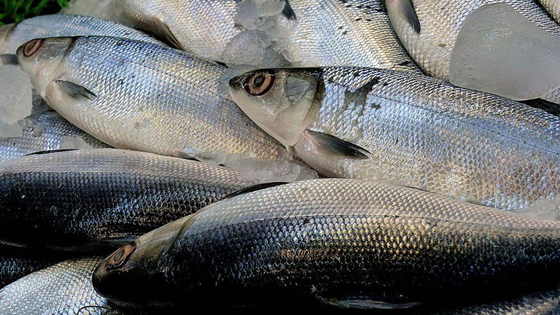 Bahan wajib untuk hidangan laut Chili