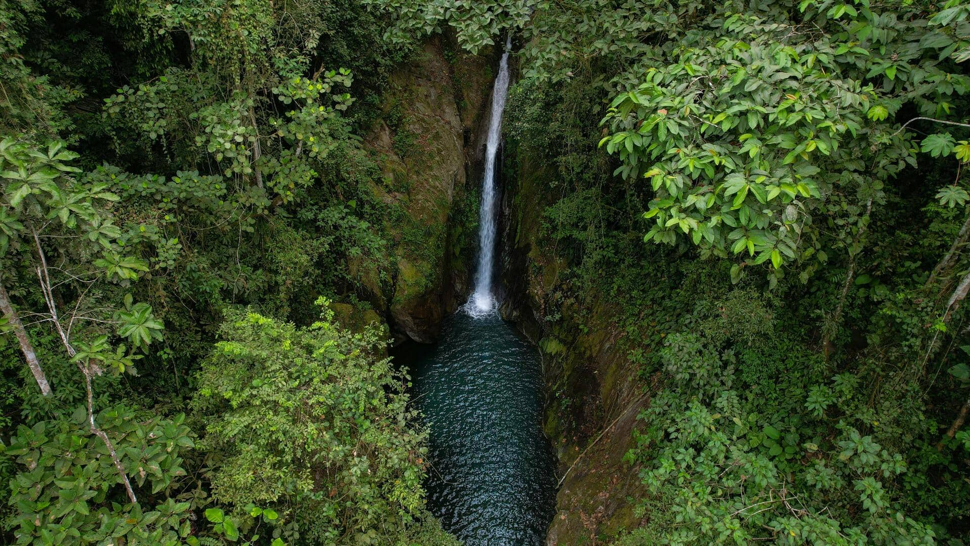 Menjelajahi Hutan Batu Kuno Puyango, Ekuador