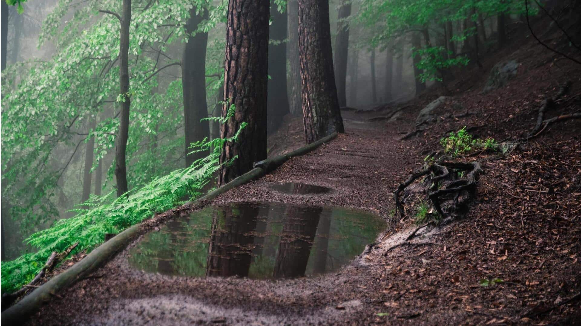 Lima Fakta Menarik tentang Kimia dari Aroma yang Kita Kenal