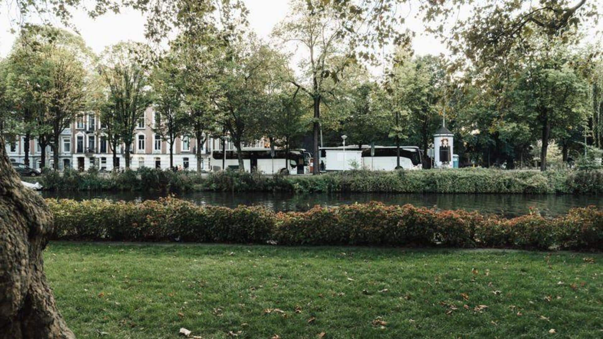 Taman Hijau Amsterdam: Tempat untuk Rekreasi dan Piknik