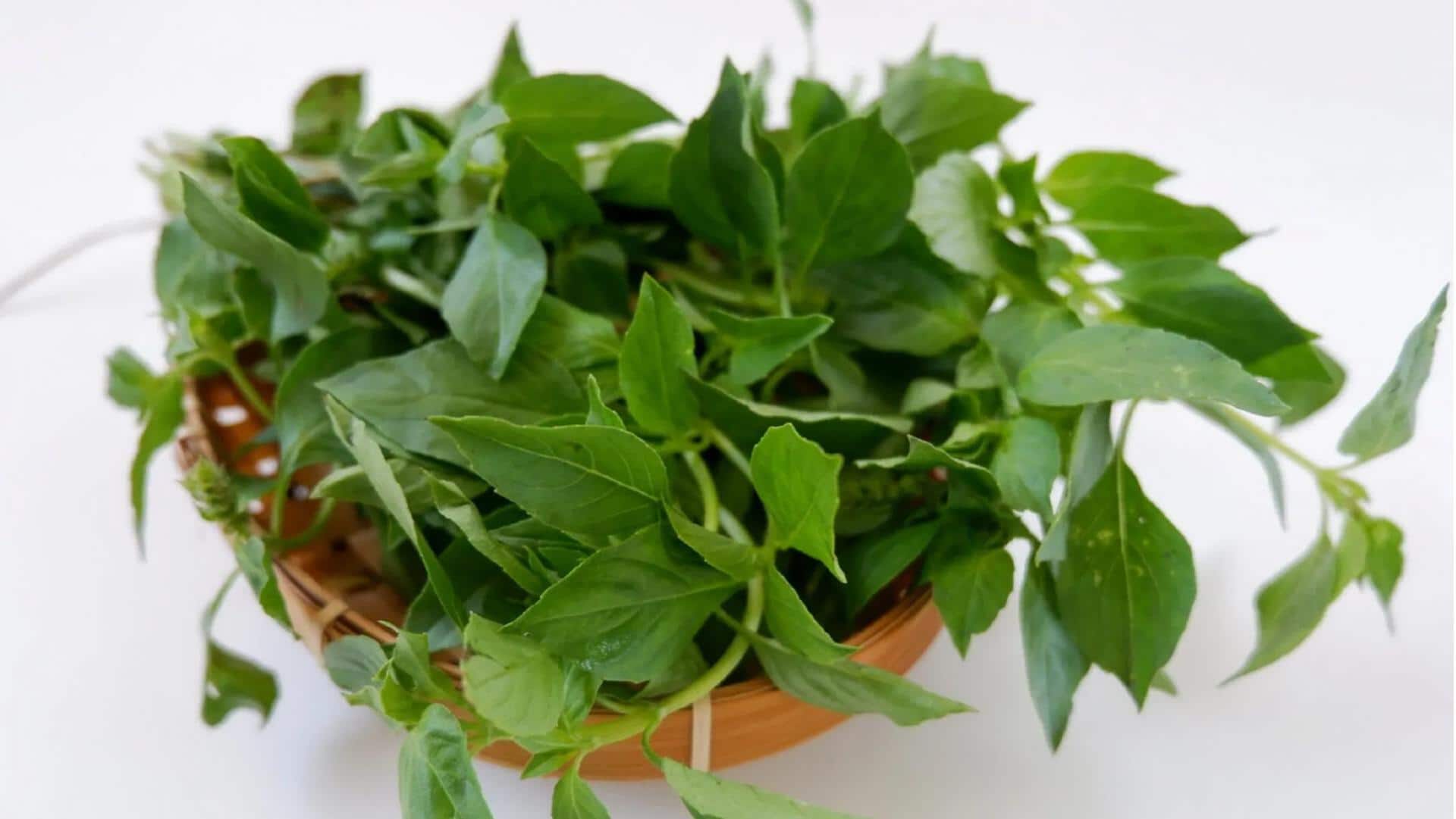 Sentuhan Tanaman Khas Indonesia untuk Meningkatkan Cita Rasa Hidangan Sehari-hari