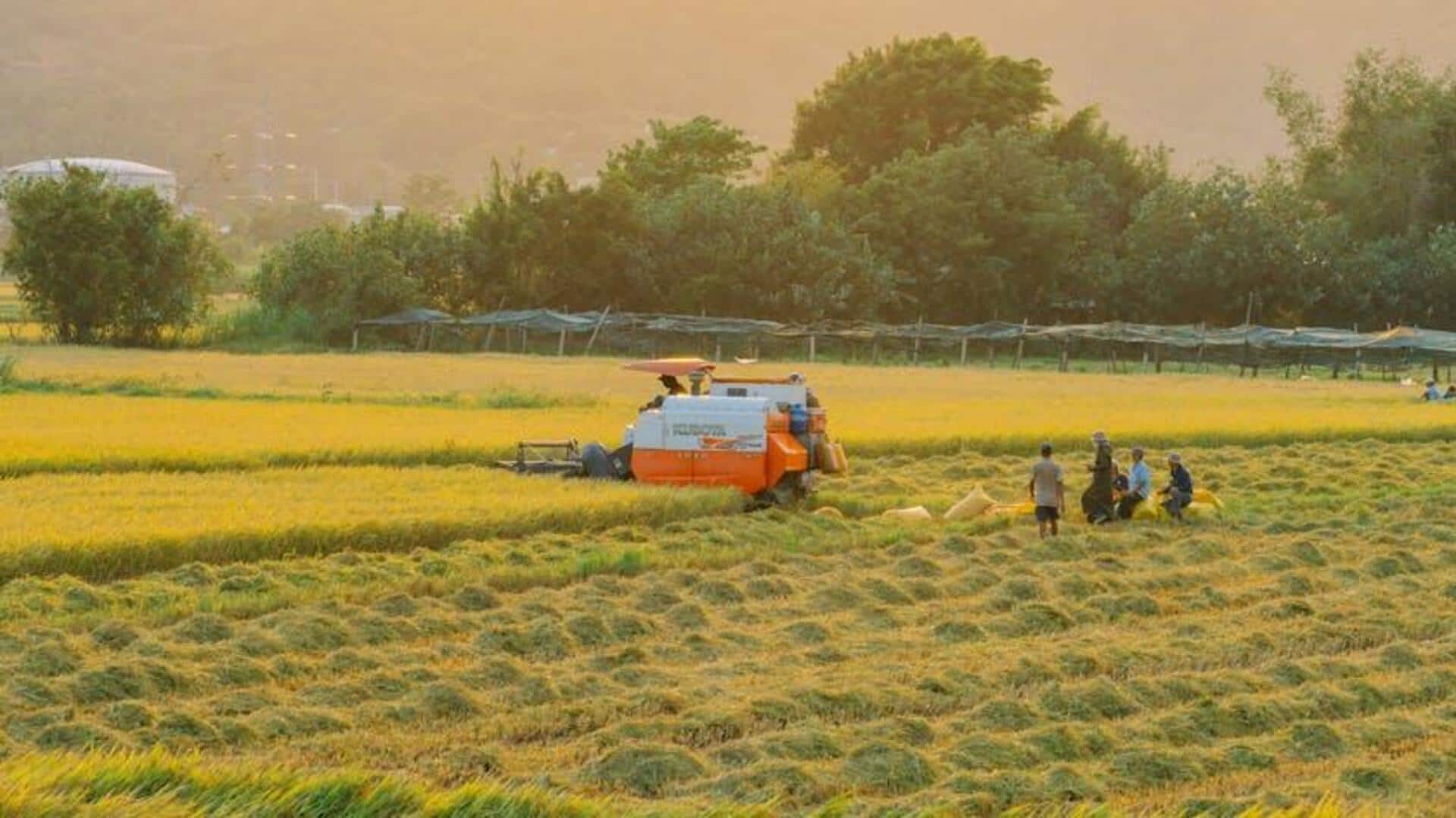 Lima Fakta Menarik tentang Nematoda dalam Terobosan Ilmiah