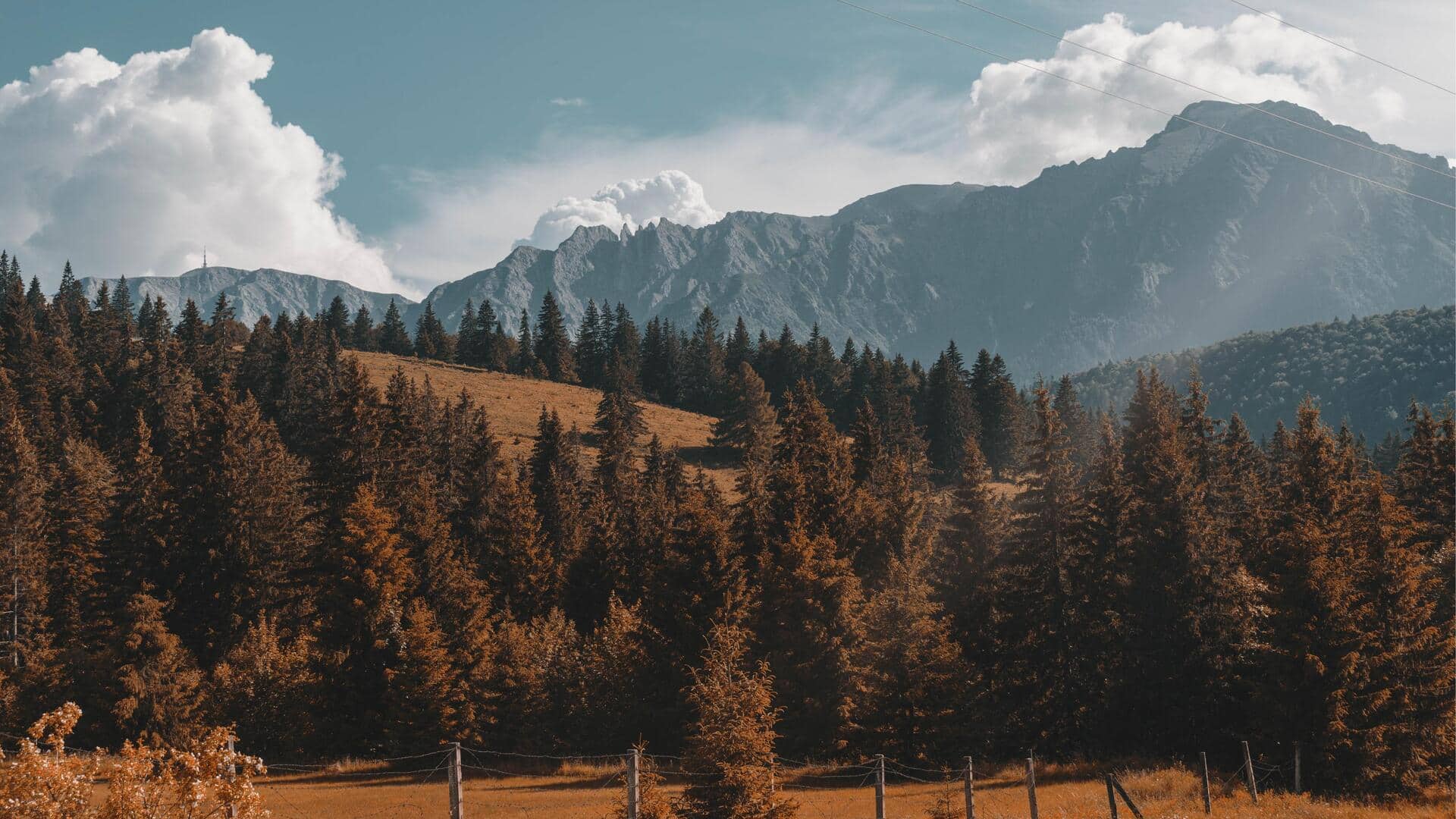Keindahan Pegunungan Karpatia di Transylvania