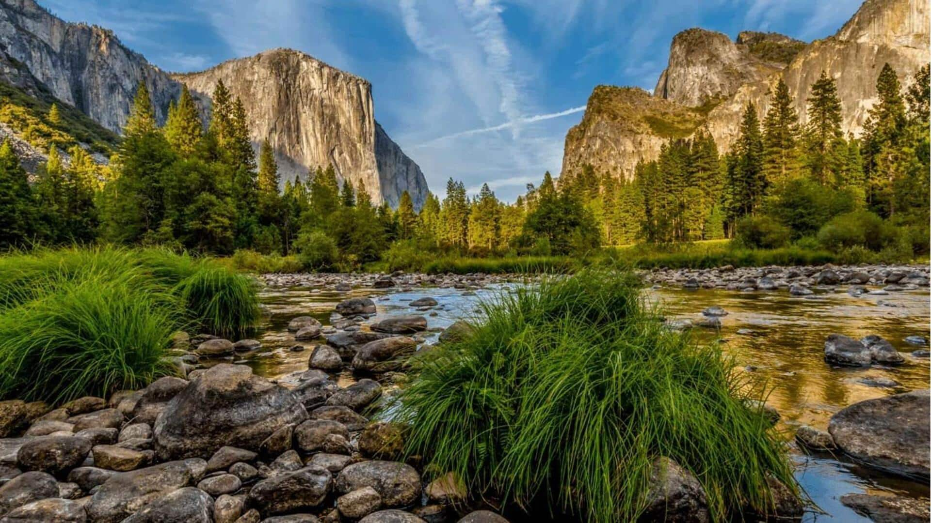 Petualangan jalur berkabut di San Francisco yang tidak boleh Anda lewatkan