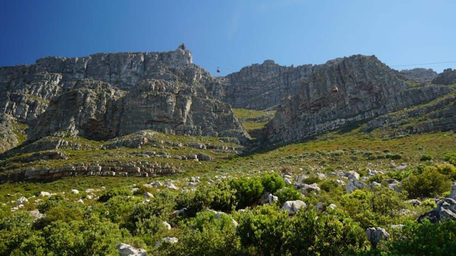 Gunung Table di Cape Town: Jalur Pendakian Indah untuk Dijelajahi