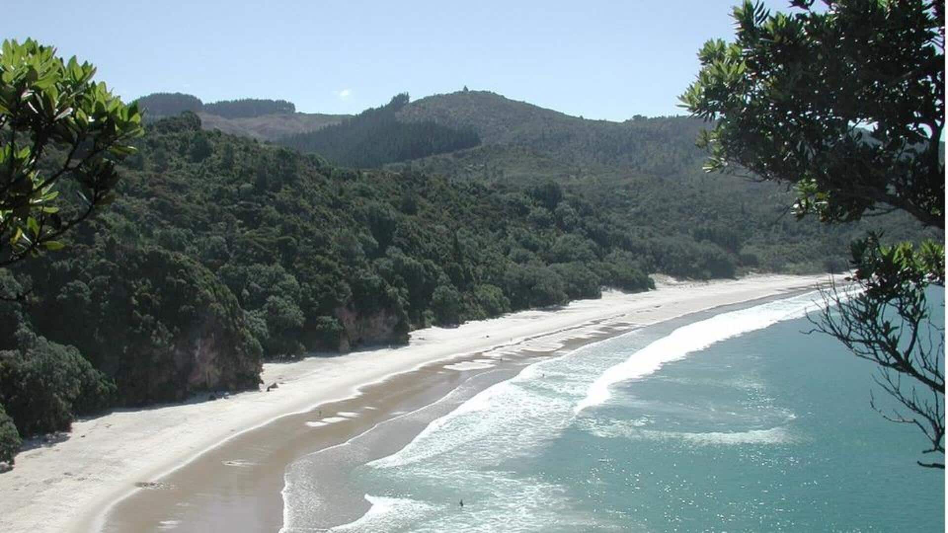 Pantai-pantai Tersembunyi di Coromandel, Selandia Baru Pantai-pantai Tersembunyi di Coromandel, Selandia Baru